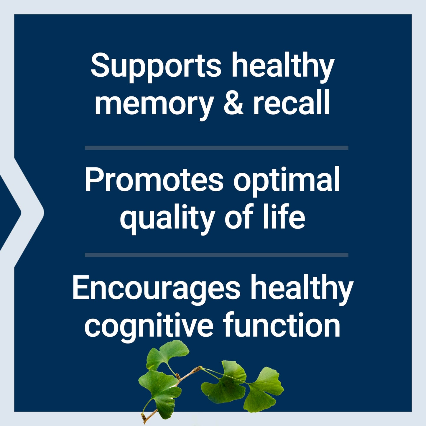 Life Extension Ginkgo Biloba Certified Extract 120 mg – Memory & Cognition Support, Gluten-Free, Non-GMO, 365 Capsules