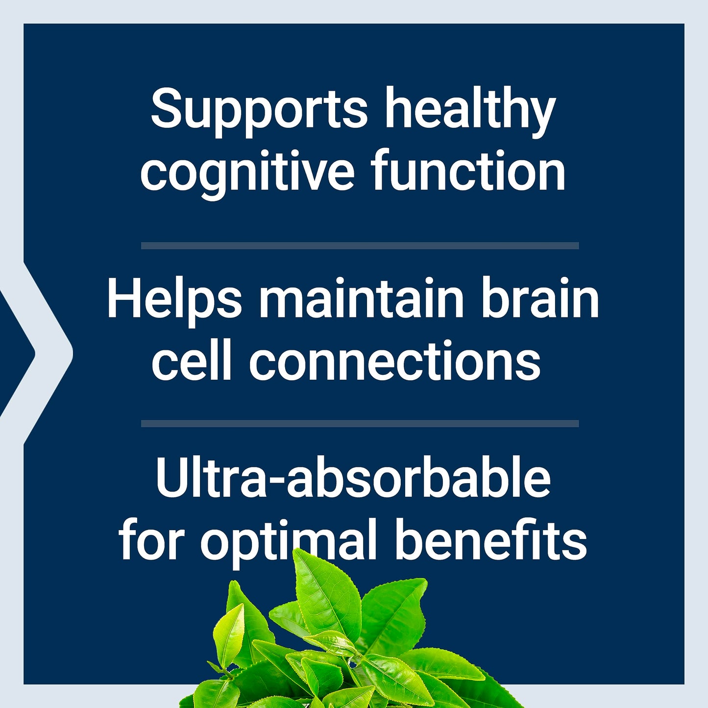 Life Extension Neuro-mag Magnesium L-threonate, 90 Count (2 Pack) – Brain Support & Focus