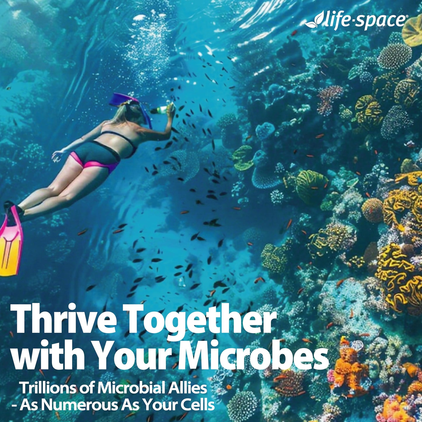 Life-Space Probiotic 96B CFU - 15 Strains, 30 Veg Capsules