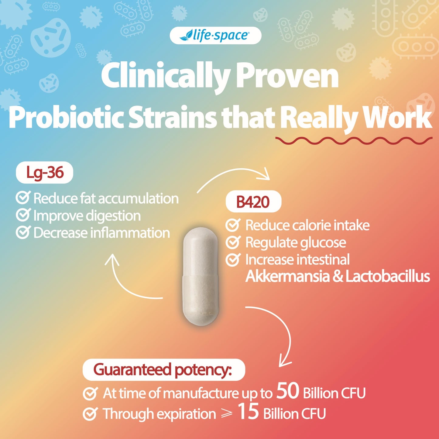 Life-Space Shape B420 Probiotics — Prebiotic + Probiotic for Metabolism Support, 60 Veg Capsules (2-Month Serving)