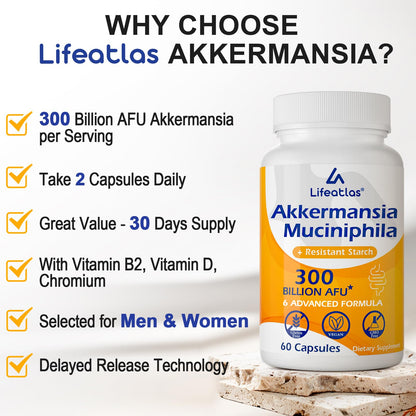 Lifeatlas Akkermansia Probiotic Supplement | 300 Billion AFU, 6-in-1 Gut Health, 60 Capsules