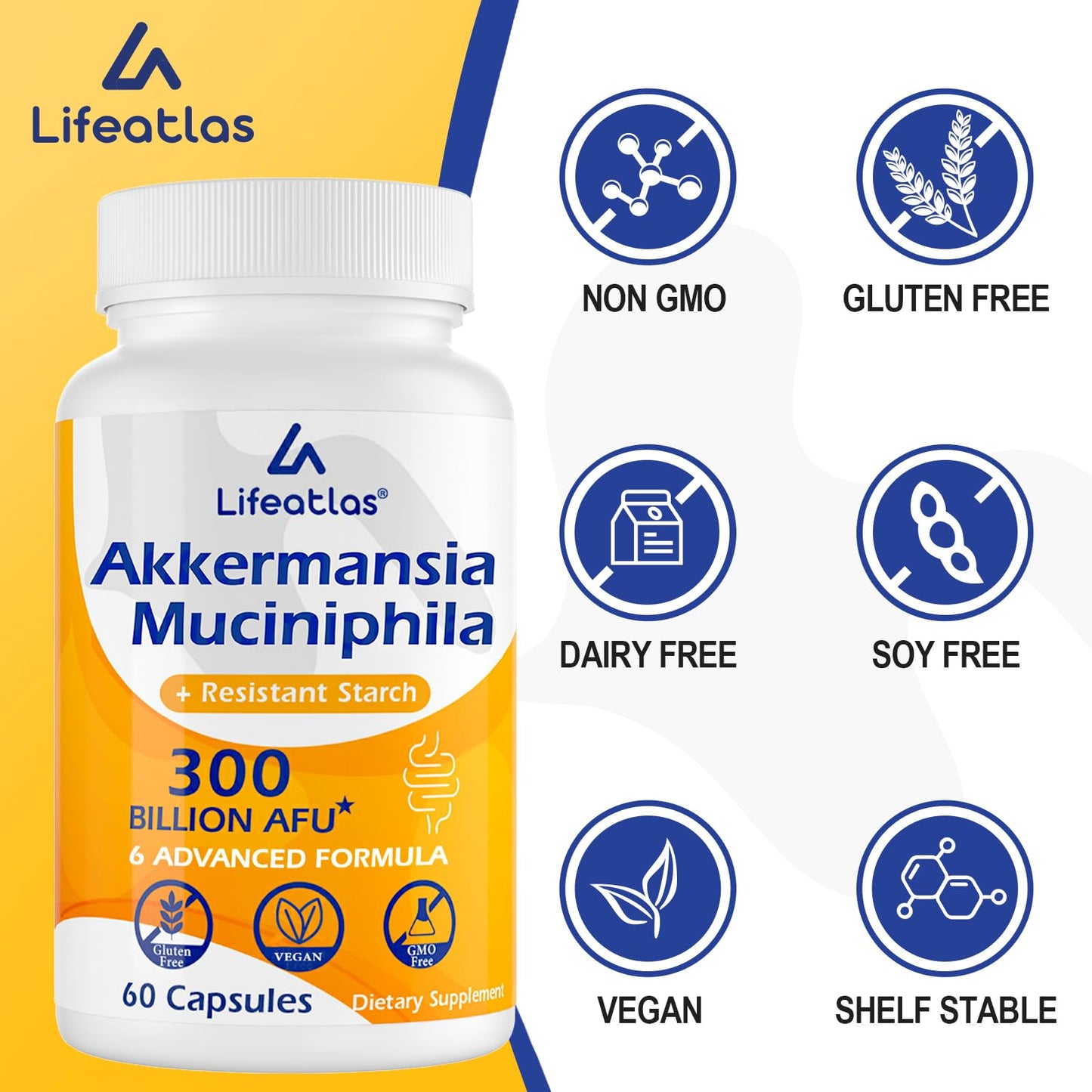 Lifeatlas Akkermansia Probiotic Supplement | 300 Billion AFU, 6-in-1 Gut Health, 60 Capsules