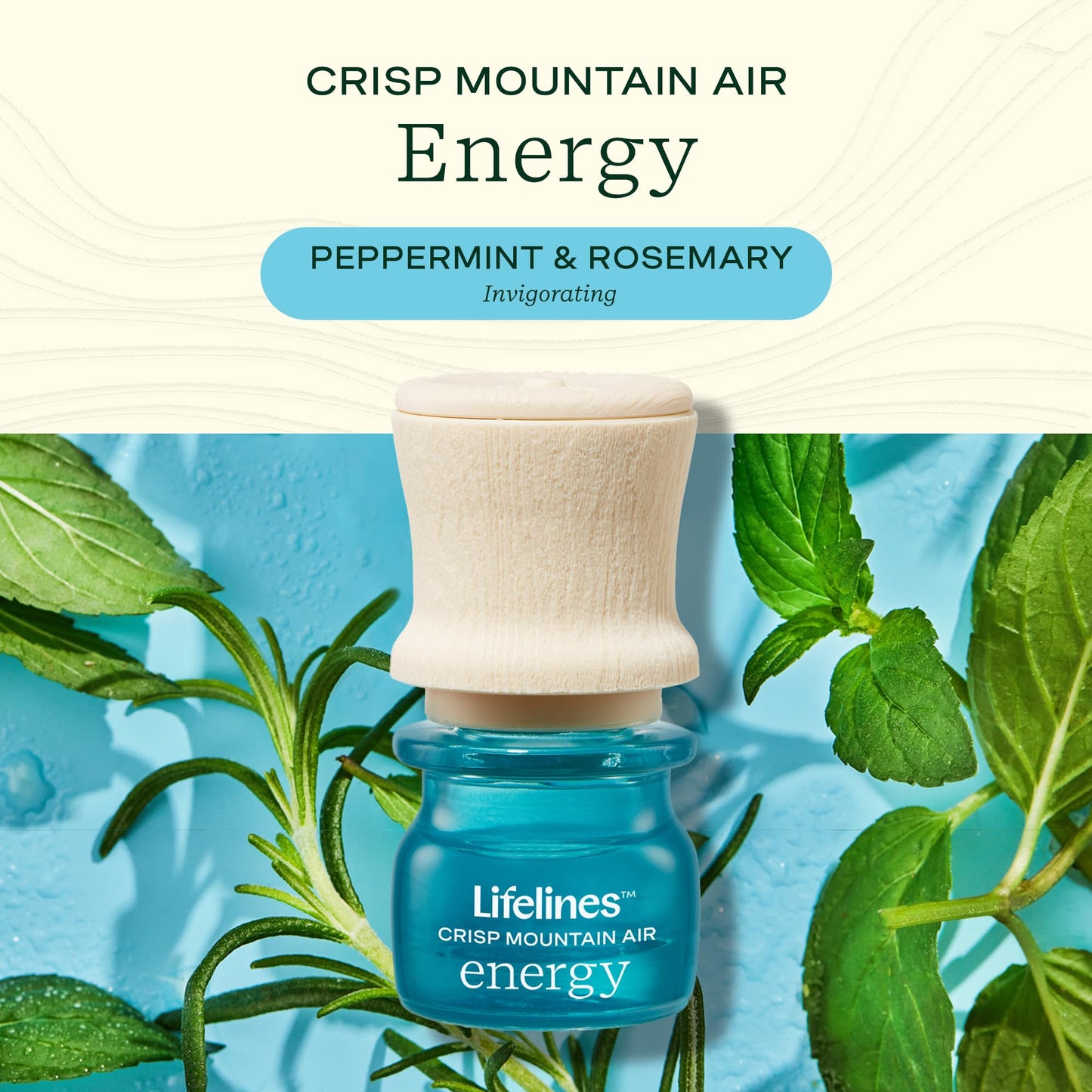 Lifelines Grounding Stone & Oil Gift Set – Fidget Gift for All Ages