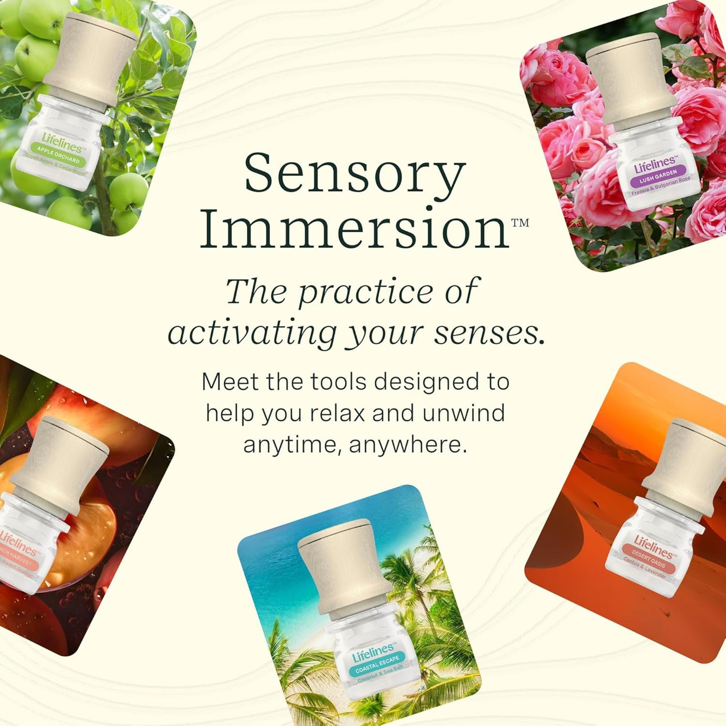 Lifelines Be Transported 5-Pack Discovery Set - Essential Oil Blends with Precision Pump