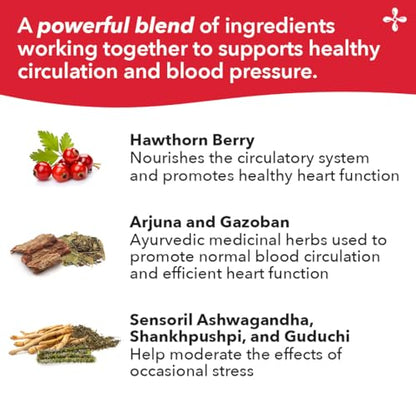 LifeSeasons B/P Stabili-T – Blood Pressure Support with Ashwagandha, Arjuna & Hawthorn Berry | 240 Capsules