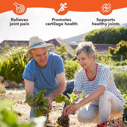 LifeSeasons Mobili-T Joint Support Supplement - MSM, Chondroitin, Collagen, Glucosamine & Turmeric | 208 Capsules