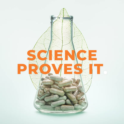 LifeSeasons Bone Densi-T | Osteo & Calcium Support | 120 Capsules