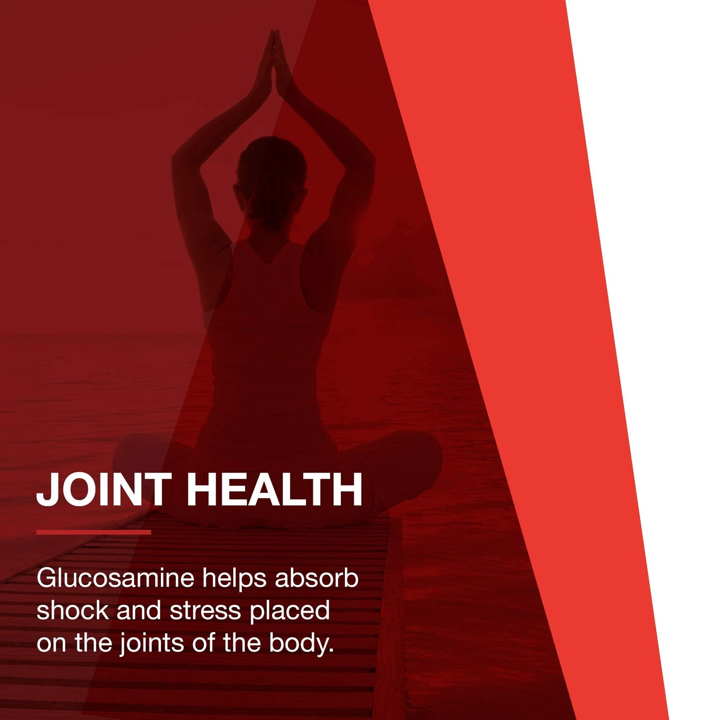 Protocol Glucosamine & Chondroitin with MSM - Joint Support (180 Veg Caps) - Non-GMO & Dairy Free