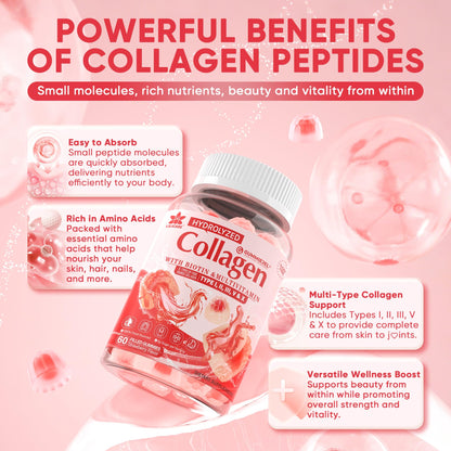 LILICARE 2Pack Sugar-Free Hydrolyzed Collagen Gummies – 1500mg Multi-Collagen, 5000mcg Biotin, Immune & Skin Support
