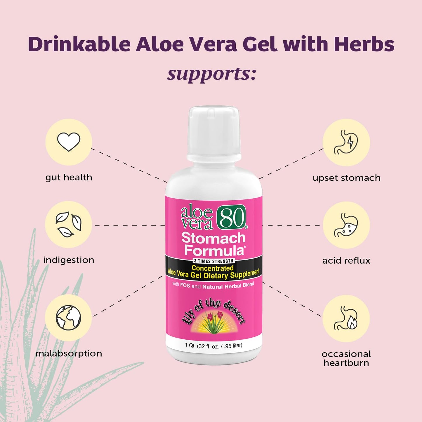 Lily Of The Desert Aloe Vera 80 Stomach Formula – 32 Oz Pack of 3 | Aloe Vera Juice with Slippery Elm, Chamomile, Peppermint & Ginger for Gut Health