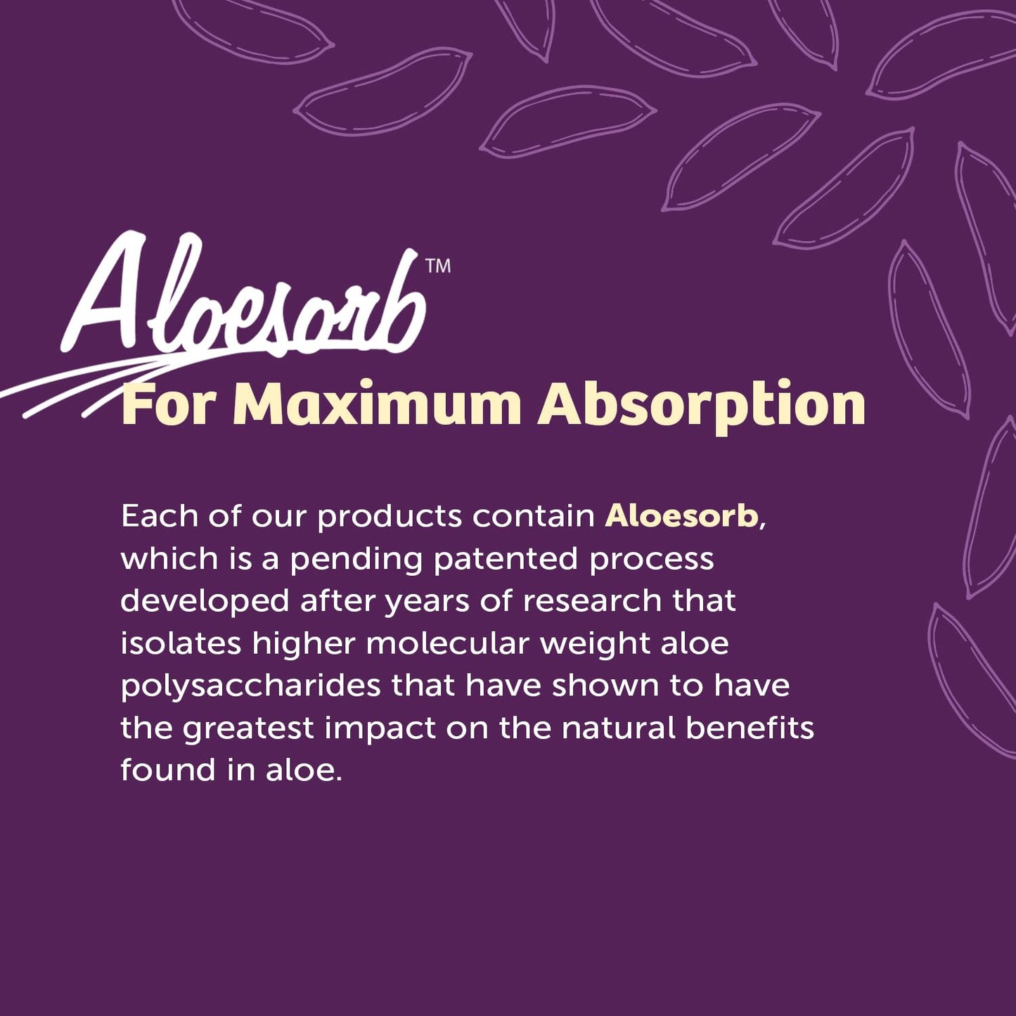 Lily Of The Desert Aloe Vera 80 Stomach Formula – 32 Oz Pack of 3 | Aloe Vera Juice with Slippery Elm, Chamomile, Peppermint & Ginger for Gut Health