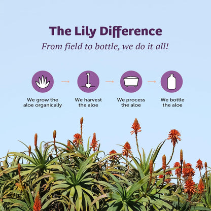 Lily Of The Desert Stomach Formula – Organic Aloe Vera Juice with Slippery Elm & Herbs (Pack of 2)