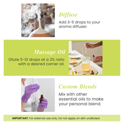 Handcraft Blends Lime Essential Oil – 1oz | 100% Pure & Natural