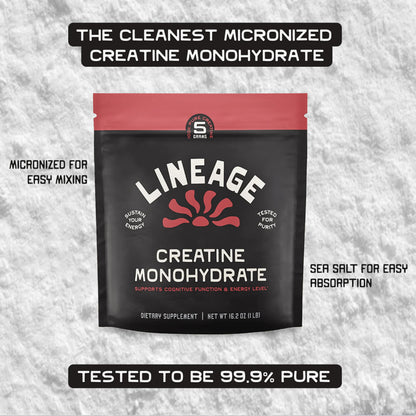 Lineage Provisions Micronized Creatine Monohydrate with Sea Salt – Micronized Creatine Powder for Training & Performance | 90 Servings