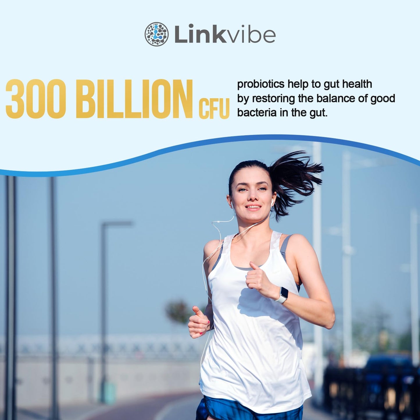 Linkvibe Probiotic 300 Billion CFU - 12 Strains with Organic Prebiotics for Digestive Health