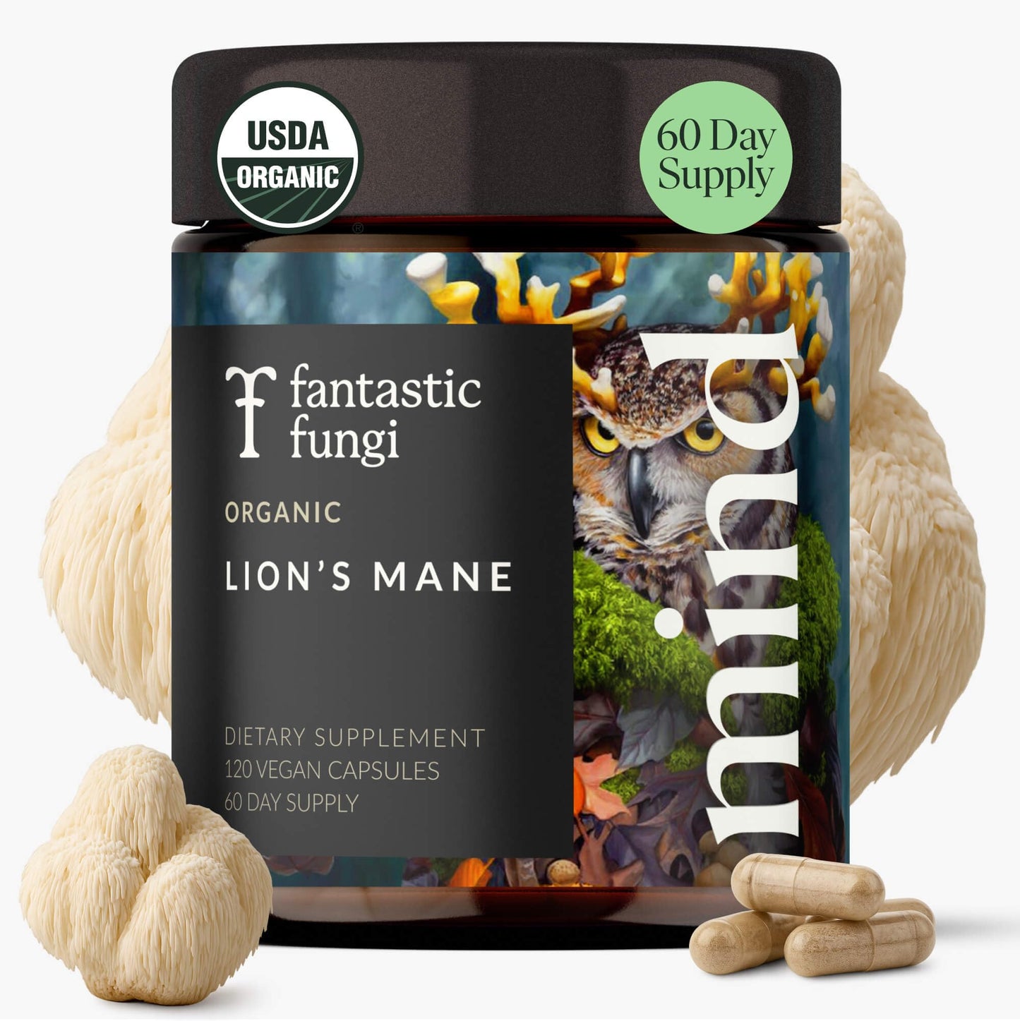 Lions Mane Mushroom Capsules – Memory, Focus & Mood Support | USDA Organic, Vegan, 120 Caps