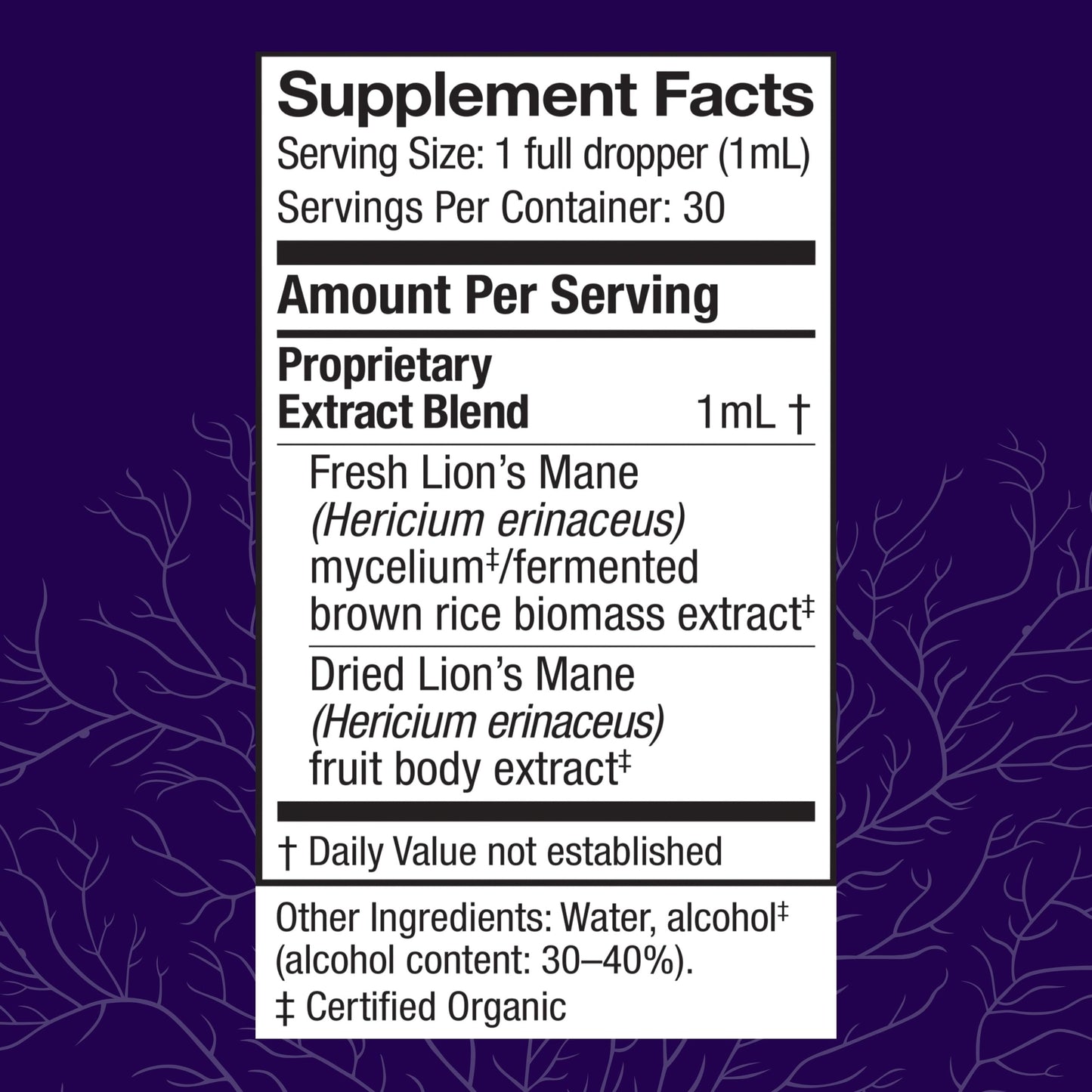 Host Defense Mushrooms Lion's Mane Extract – Brain Health & Focus Support (1 fl oz)