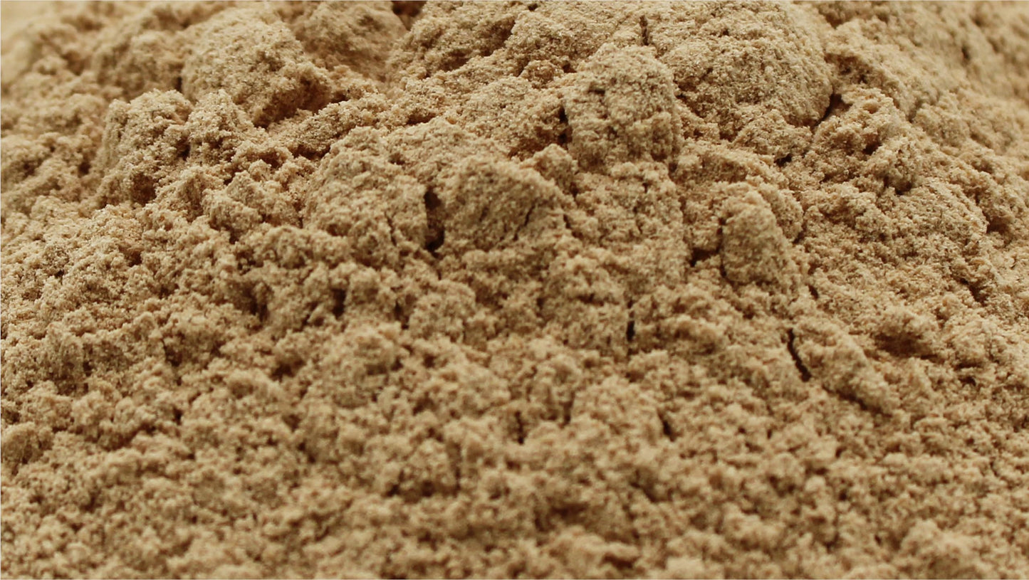 Naturejam Organic Lions Mane Mushroom Powder - 2 x 1 lb Bulk | Premium Culinary Grade for Smoothies, Coffee Substitutes