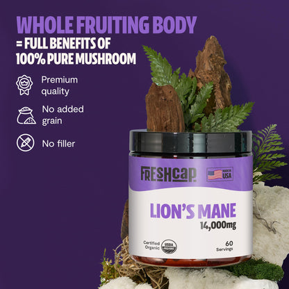 FreshCap Mushrooms Lions Mane Supplement Powder – 14,000mg per Serving, Organic Lions Mane Extract for Focus & Memory (60 Servings)