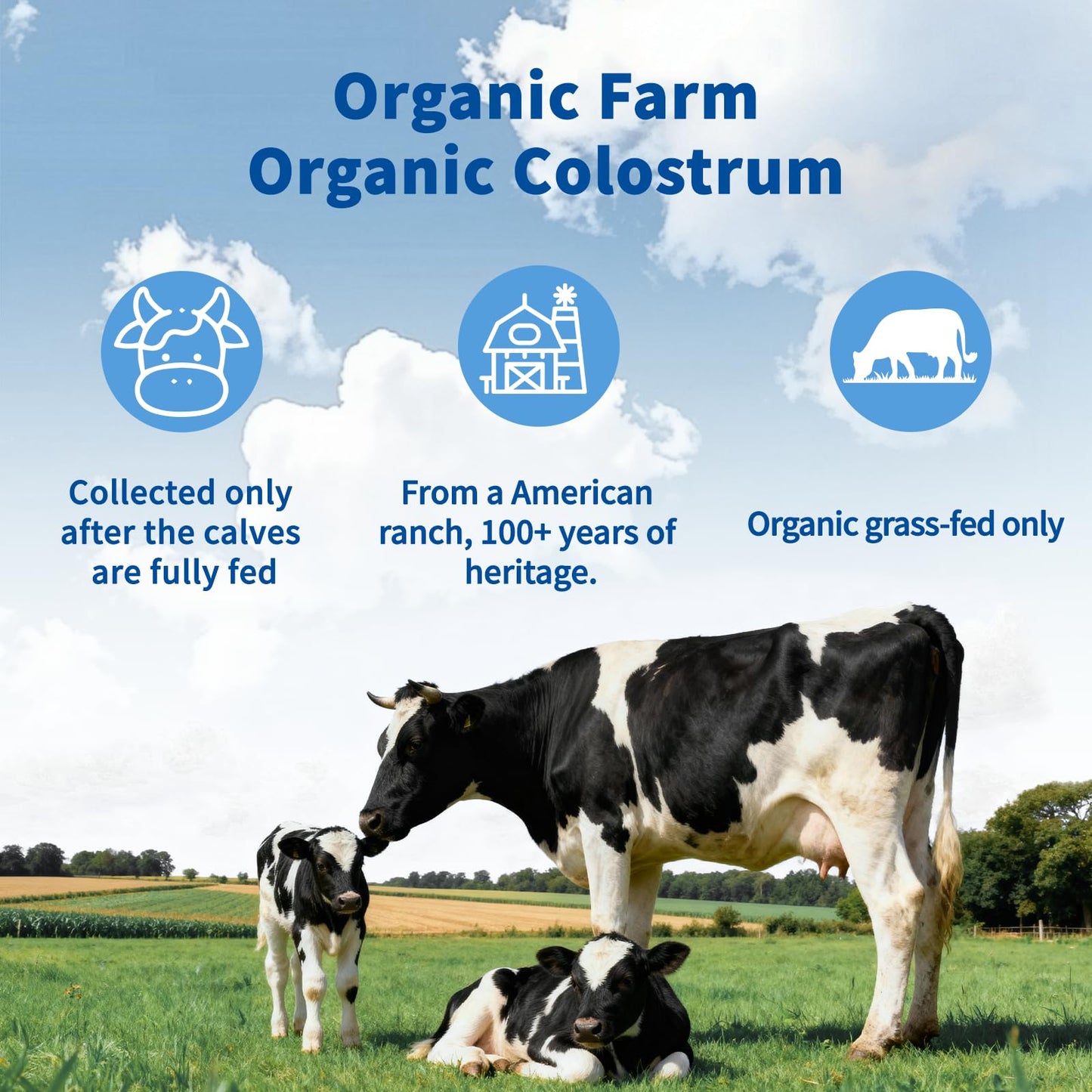 VNNIQ Bovine Colostrum Powder – 3X Absorption, 3,000 mg IgG, Organic Grass-Fed, Ultra-Low Temp Freeze-Dried, 50 Servings