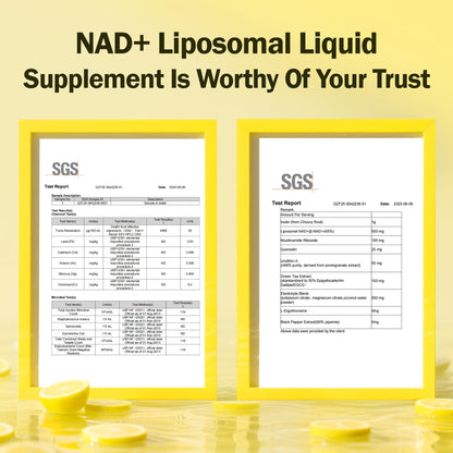 Liposomal NAD+ Liquid Supplement – Enhanced Cellular Uptake, Normal Cellular Health & Vitality (Lemon Flavor)