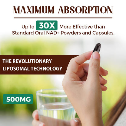 Caenciennes Liposomal NAD+ 500 mg — True NAD+ with Superior Absorption