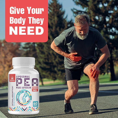 Liposomal Palmitoylethanolamide (PEA) 1000 mg + Luteolin 100 mg | Micronized 99% Purity | 360 Softgels