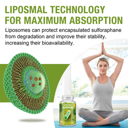 800 mg Liposomal Sulforaphane – Dual-Delivery, Full-Spectrum Broccoli Extract | 360 Softgels