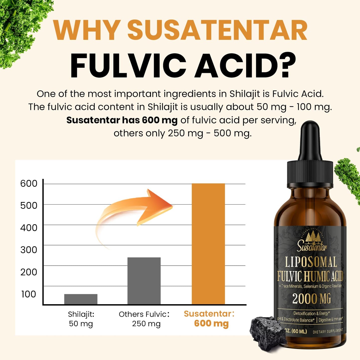 2000 mg Liposomal Fulvic + Humic Acid & Trace Minerals – More Potent Than Shilajit | Energy, Digestion, Immunity | 6 oz