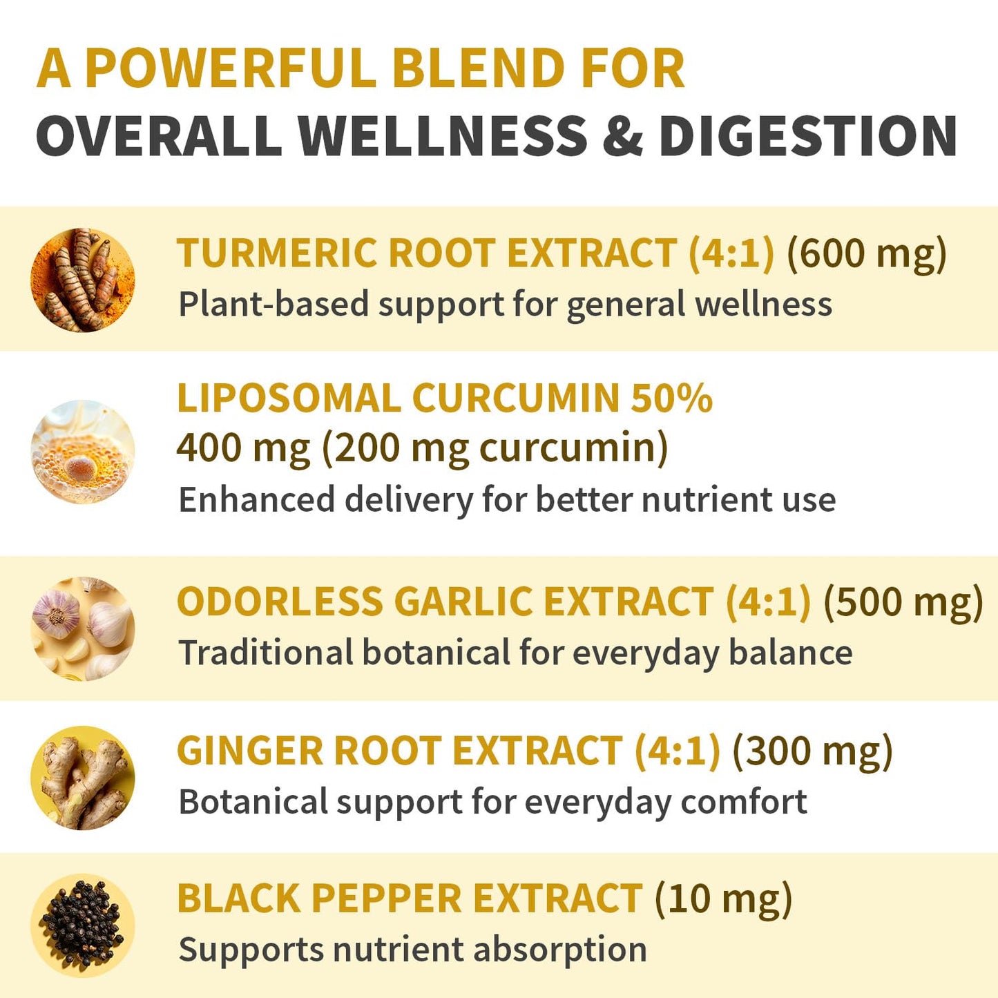 Liposomal Turmeric - High-Absorption Curcumin with Black Pepper | Non-GMO (120ct, Pack of 3)