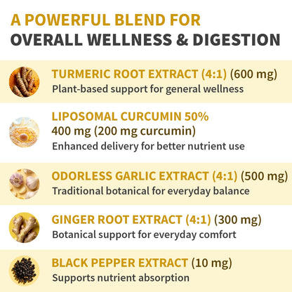 Liposomal Turmeric - High-Absorption Curcumin with Black Pepper | Non-GMO (120ct, Pack of 3)
