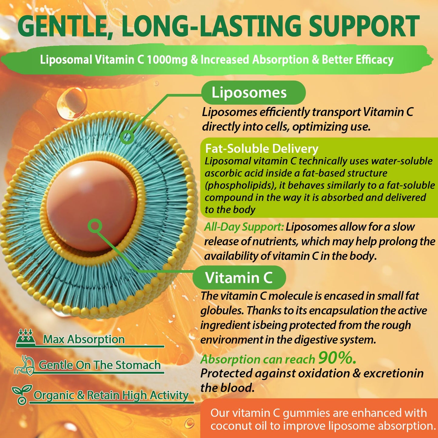 Liposomal Vitamin C 1000mg Gummies for Adults – Immune Support