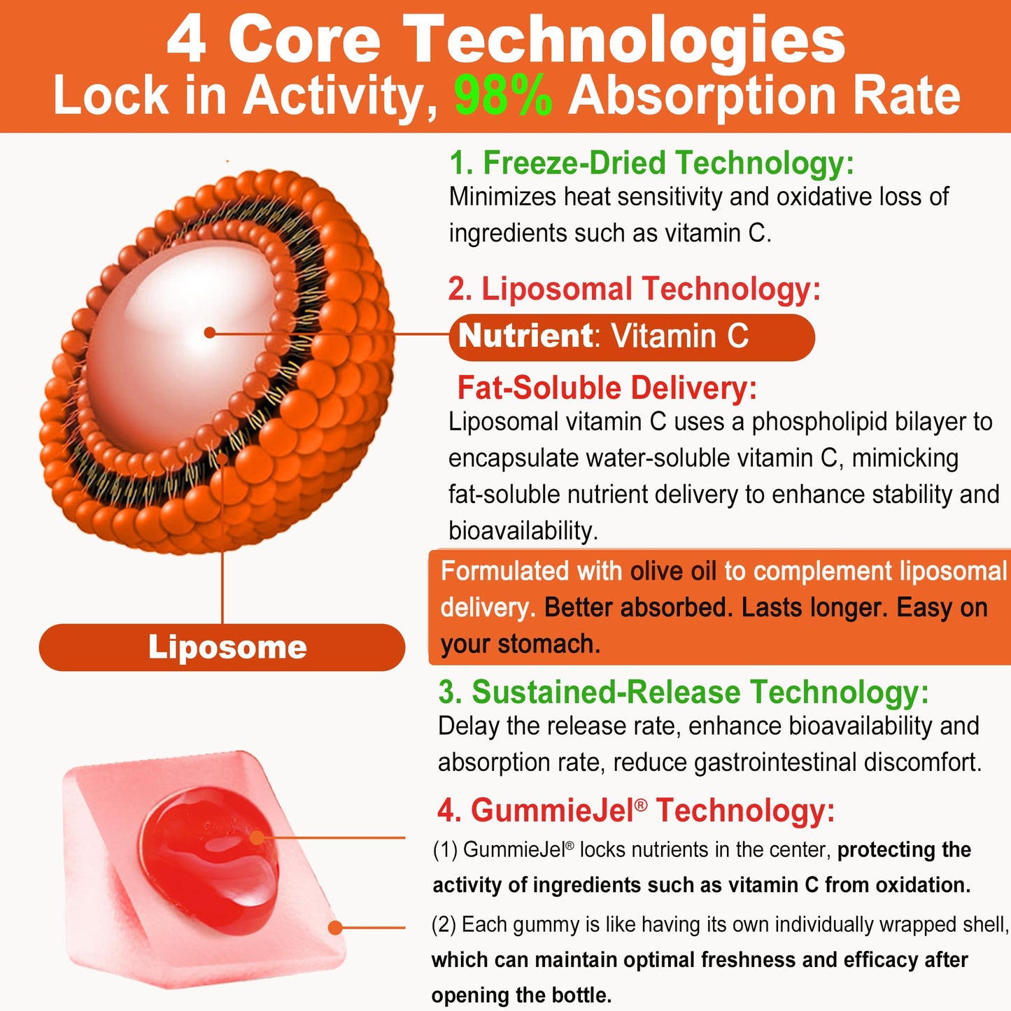 LILICARE Liposomal Vitamin C 1000mg Gummies – Immune Support, Organic, Sugar Free, 2-Pack