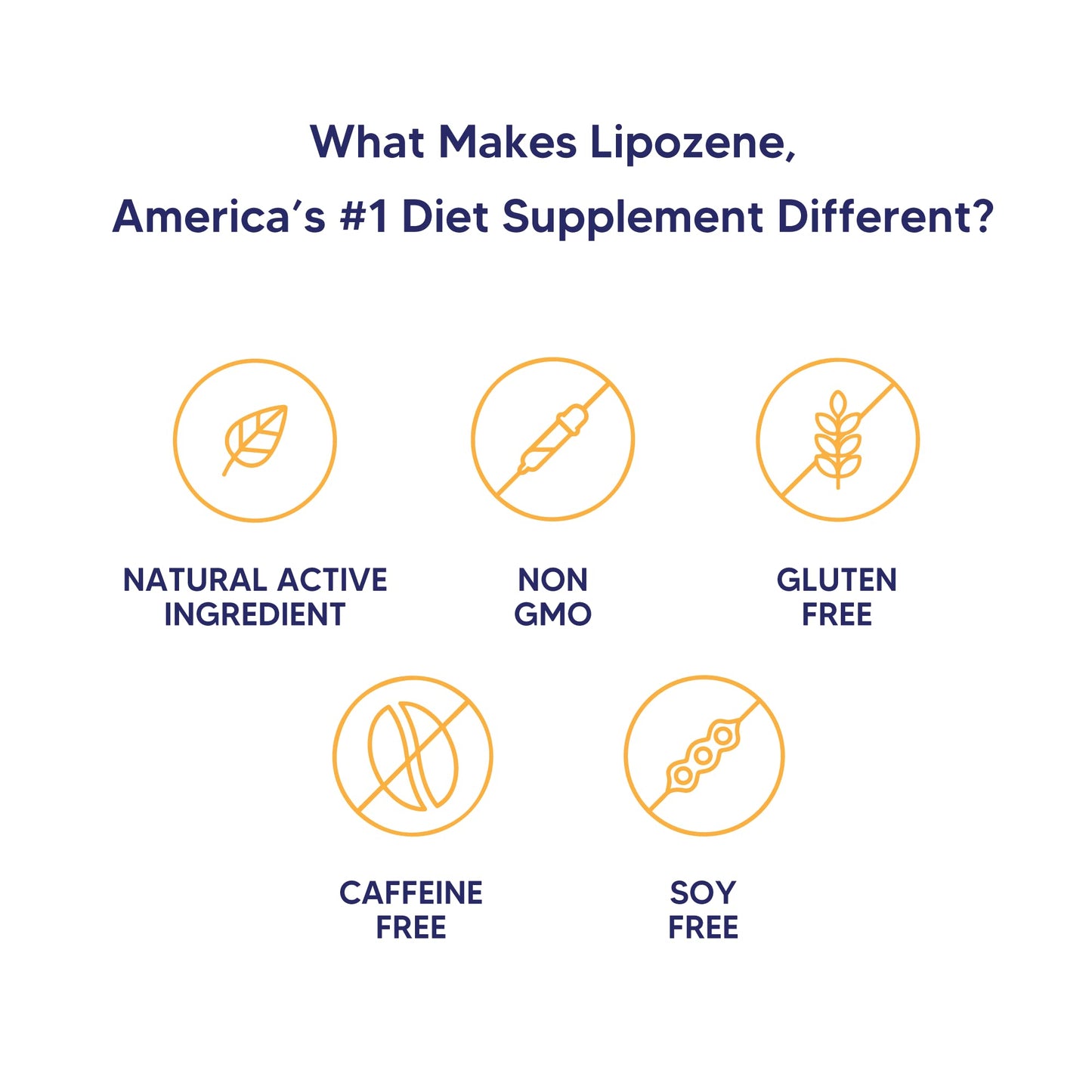 Lipozene Diet Pills – 4 Bottles (120 Capsules) Fiber-Based Appetite Control