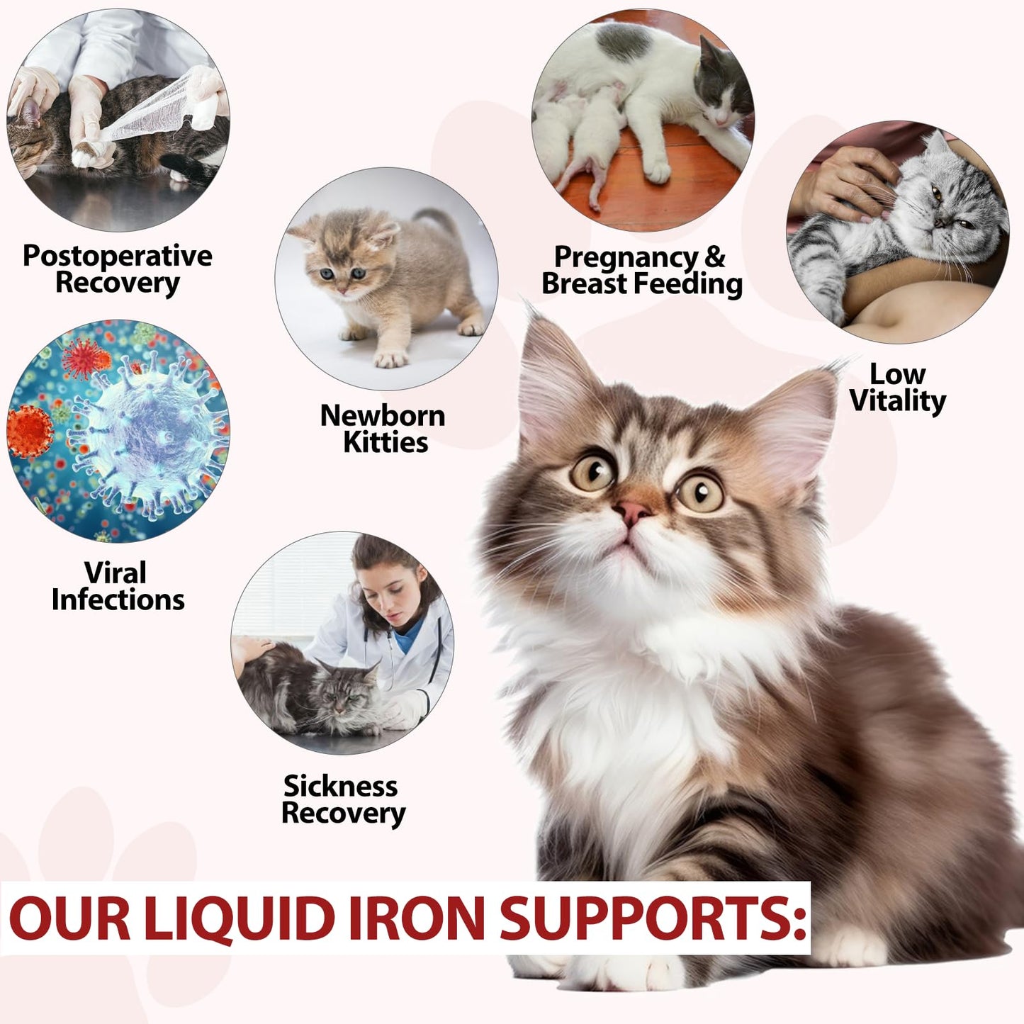 Liquid Iron Drops for Cats - Supports Anemia, Energy & Vitality (Caramel Flavor) 2 fl oz