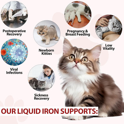 Liquid Iron Drops for Cats - Supports Anemia, Energy & Vitality (Caramel Flavor) 2 fl oz