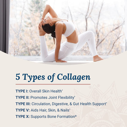 Live Conscious Beyond Collagen Multi Collagen Powder – Types I, II, III, V & X | Keto Friendly 2-Pack