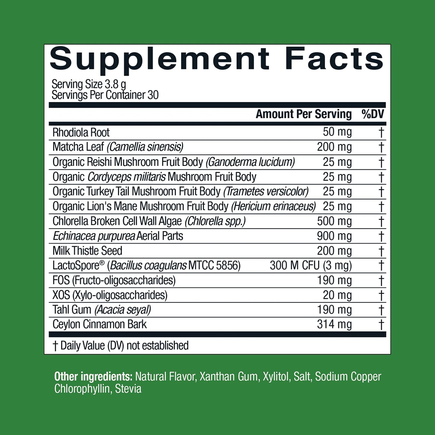 Live Conscious Beyond Greens Matcha Powder – Immune Support & Energy, 2-Pack (30 Servings)