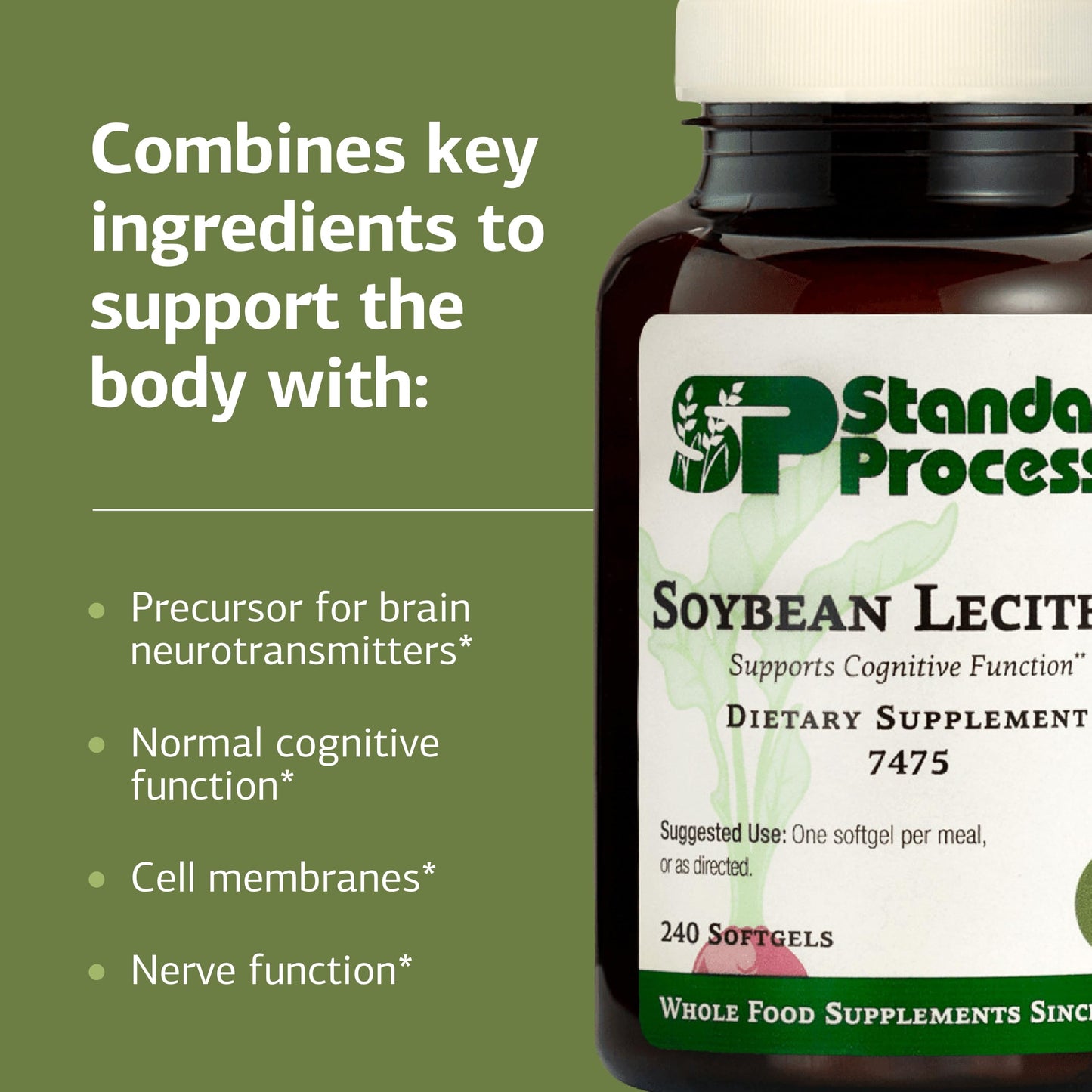 Standard Process Soybean Lecithin – Brain Health Support, 240 Softgels