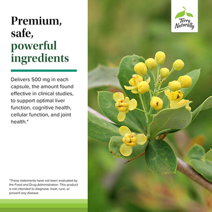 Terry Naturally Berberine - Liver Health & Metabolism Support | 60 Capsules (Pack of 2)
