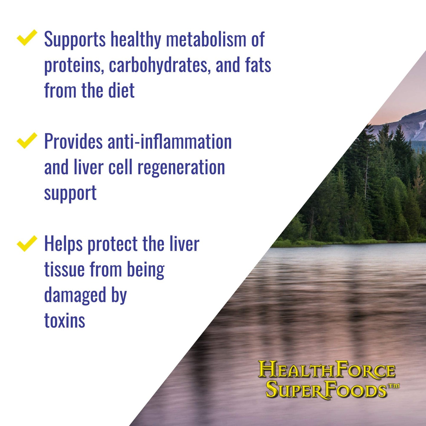 HealthForce SuperFoods Liver Rescue - Natural Liver Cleanse with Milk Thistle & Dandelion Root | Gluten-Free & Vegan | 120 Capsules
