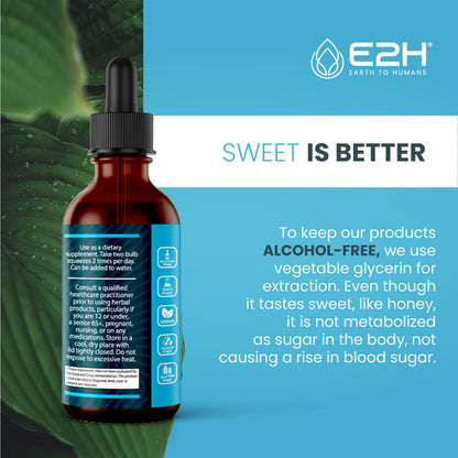 E2H Liver Support Liquid Drops – Milk Thistle Detox with Artichoke & Dandelion | 3 Bottles