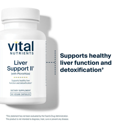 Vital Nutrients Liver Support II – Vegan Herbal Capsule Blend with Picrorhiza, Milk Thistle & Curcumin | Gluten-Free 60 Capsules