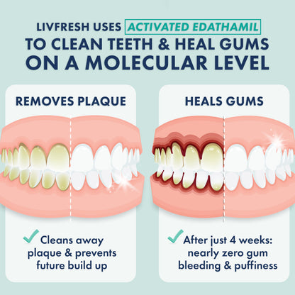 LIVFRESH Toothpaste Gel Wintergreen 3 Pack – Clinically Proven