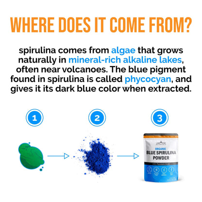 Lone Star Botanicals Organic Blue Spirulina Powder – 300 Servings, Non-GMO, Vegan, Gluten-Free, USDA Certified