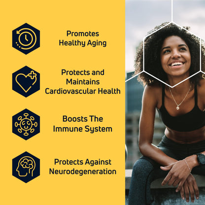 Longevity Labs SpermidineLIFE – Vegan Wheat Germ Extract with Zinc for Autophagy, 60 Capsules