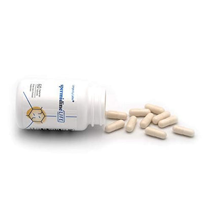 Longevity Labs SpermidineLIFE – Vegan Wheat Germ Extract with Zinc for Autophagy, 60 Capsules
