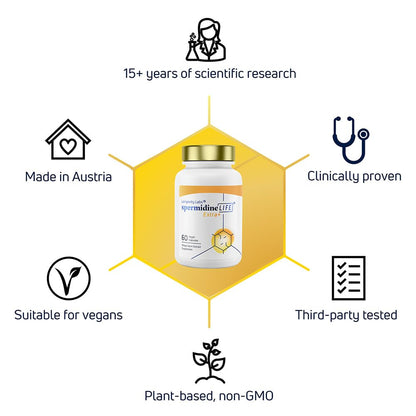 Longevity Labs SpermidineLIFE – Vegan Wheat Germ Extract with Zinc for Autophagy, 60 Capsules