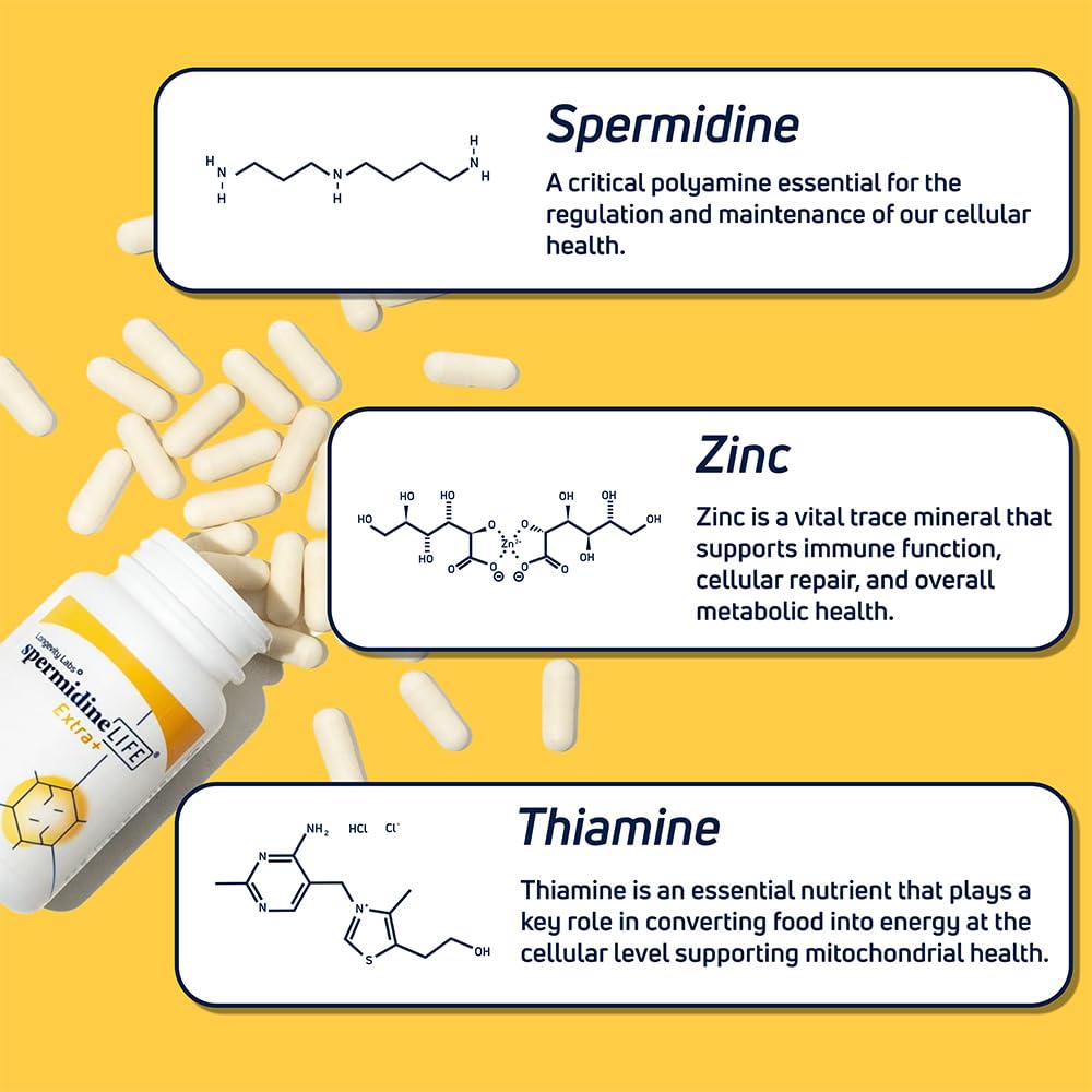 Longevity Labs SpermidineLIFE – Vegan Wheat Germ Extract with Zinc for Autophagy, 60 Capsules
