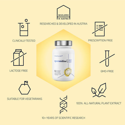 Longevity Labs SpermidineLIFE – Vegan Wheat Germ Extract with Zinc for Autophagy, 60 Capsules